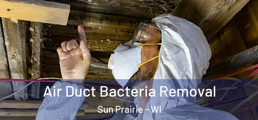  Air Duct Bacteria Removal Sun Prairie - WI