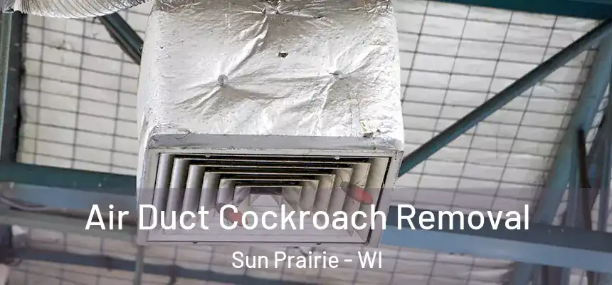  Air Duct Cockroach Removal Sun Prairie - WI