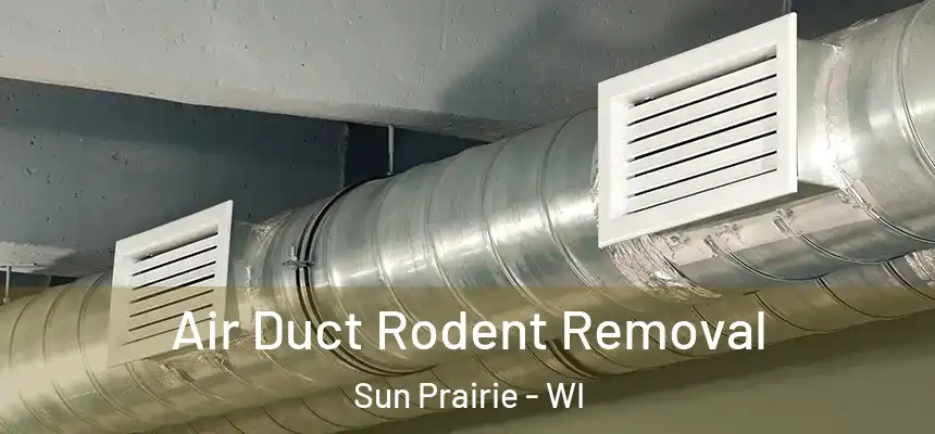  Air Duct Rodent Removal Sun Prairie - WI