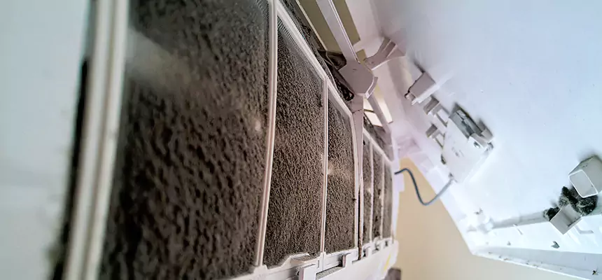 Preventive Air Duct Bacteria Removal in Sun Prairie