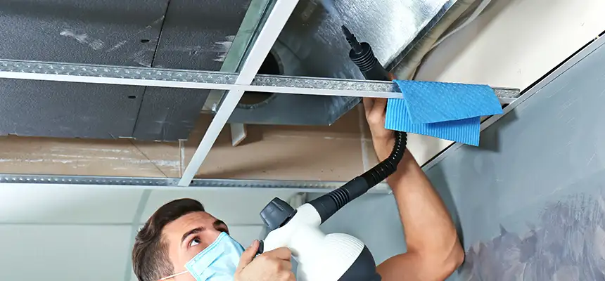 Our Air Duct Rodent Removal Services in Sun Prairie, WI