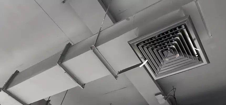 Our Rodent Droppings In Vents Services in Sun Prairie, WI