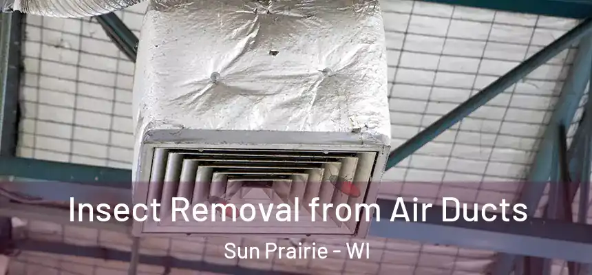  Insect Removal from Air Ducts Sun Prairie - WI
