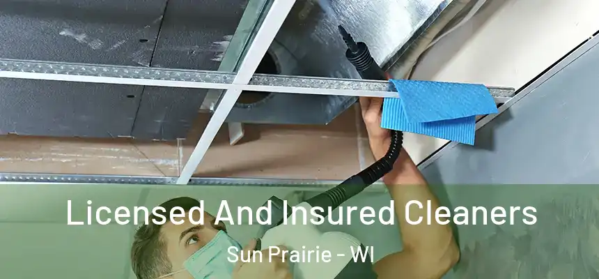  Licensed And Insured Cleaners Sun Prairie - WI
