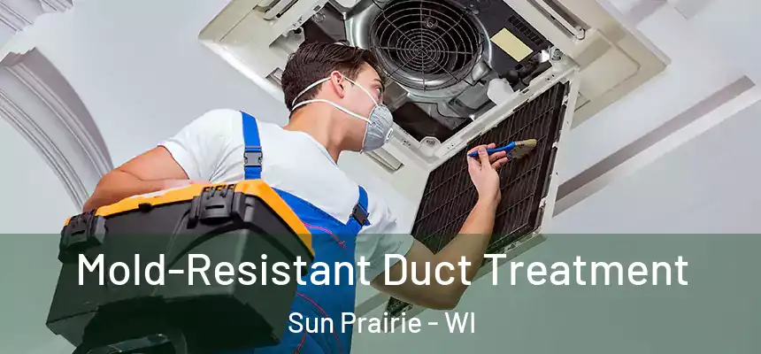  Mold-Resistant Duct Treatment Sun Prairie - WI