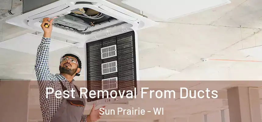  Pest Removal From Ducts Sun Prairie - WI