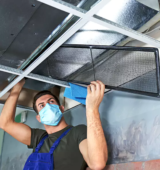 Professional Air Duct Pollen Cleaning in Sun Prairie, WI