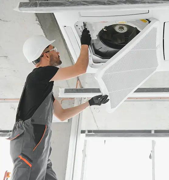 About Air Duct Rodent Removal in Sun Prairie, WI