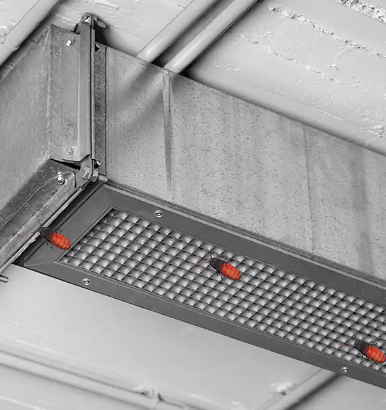 Affordable Insect Removal from Air Ducts in Sun Prairie, WI