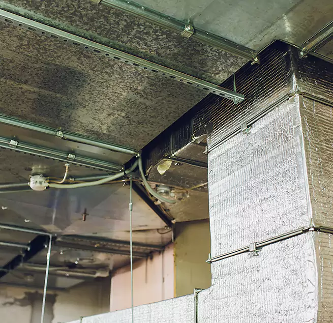 Why Homeowners & Businesses Trust Us in Sun Prairie, WI?